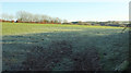 Frosty field, Timewell Hill