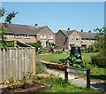 Rhubarb at Cleyfields