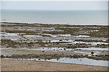 TQ8913 : Mud exposed at low tide by N Chadwick