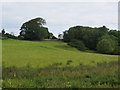 Grazing land below High Barcaple Farm