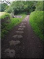 Sleepers of the Silkstone waggonway