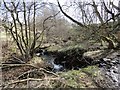 The Watergate Burn in Castleside