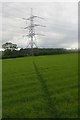 Public footpath through a grassed field