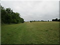 Grass field at Woolsthorpe