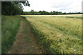 Bridleway by the woods