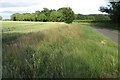 Penn Wood across Melchbourne Road