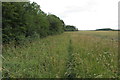 Bridleway to the Three Shires Way