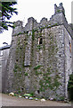 T0516 : Castles of Leinster: Killiane, Wexford (2) by Garry Dickinson