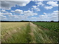 Footpath near Potash Farm