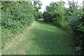 Footpath towards the church