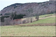 NN7547 : Fields at Tomnacroich by Alan Reid