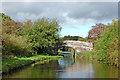 SJ8317 : Canal west of Church Eaton in Staffordshire by Roger  Kidd