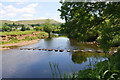 SD9689 : Stepping stones across River Ure by Roger Templeman