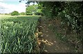 Footpath into Yelden