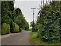 Road to Holt church, Holt Turn