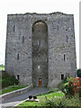 Q9833 : Castles of Munster: Listowel, Kerry by Garry Dickinson