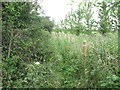 Public Footpath Near Holy Trinity Church, Seghill