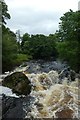 Upstream along the Ribble