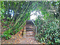 Footpath from old railway to Maidenbower Drive