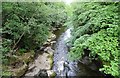 Downriver view from the footbridge