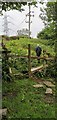 A fine stile by the footbridge below Upper Storrs