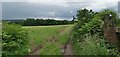 Path leading towards Upper Storrs