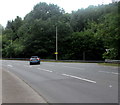 Tree-lined junction in Overmonnow, Monmouth