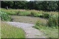 Pond at entrance to Aberbargoed Grasslands