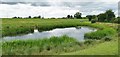 Pond beside River Aire