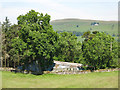 Barn below Newlandside Farm