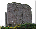 V5599 : Castles of Munster: Minard, Kerry (3) by Garry Dickinson