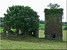 W4346 : Castles of Munster: Monteen, Cork (2) by Garry Dickinson