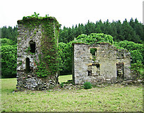 W4346 : Castles of Munster: Monteen, Cork (4) by Garry Dickinson