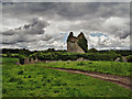 S1126 : Castles of Munster: Moorstown, Tipperary (1) by Garry Dickinson