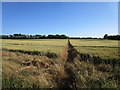 Footpath to Hargrave