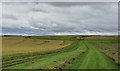 Lavington Down, Wiltshire