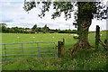 Gate and countryside, Freughmore