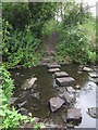 Stepping Stones Across The Seaton Burn, Seghill