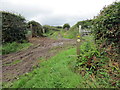 Llwybr ger Ffarm Bwlchyfedwen / Path near Bwlchyfedwen Farm