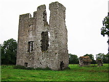 N7760 : Castles of Leinster: Moymet, Meath (2) by Garry Dickinson