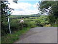 Llwybr i Myrtle Hill / Path to Myrtle Hill