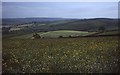 Farmland above Lothersdale