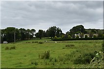O2207 : Farmland at Carriggower Townland by Simon Mortimer