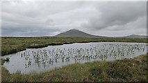 NC7941 : Moorland pool above Loch Coire nam Mang, Sutherland by Claire Pegrum