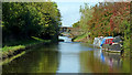 Canal near Little Soudley in Shropshire