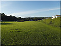 Farsley Community Orchard: lower field