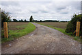 Track leading to Cottage Farm, Spaldington