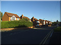 Detached houses, Cote Lane, Farsley