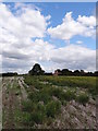 Church of St Helen, Kneeton in the distance