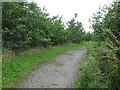 Path, Silverlink Biodiversity Park, Shiremoor